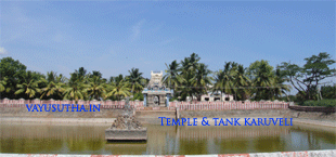 Sri Sarguneswarar Temple, Karuveli, Kudavasal, Tamil Nadu